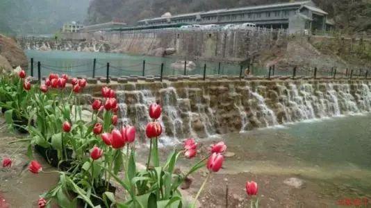李婷宜遗憾终生,至今仍耿耿于怀,声称中了林心如经纪人的圈套