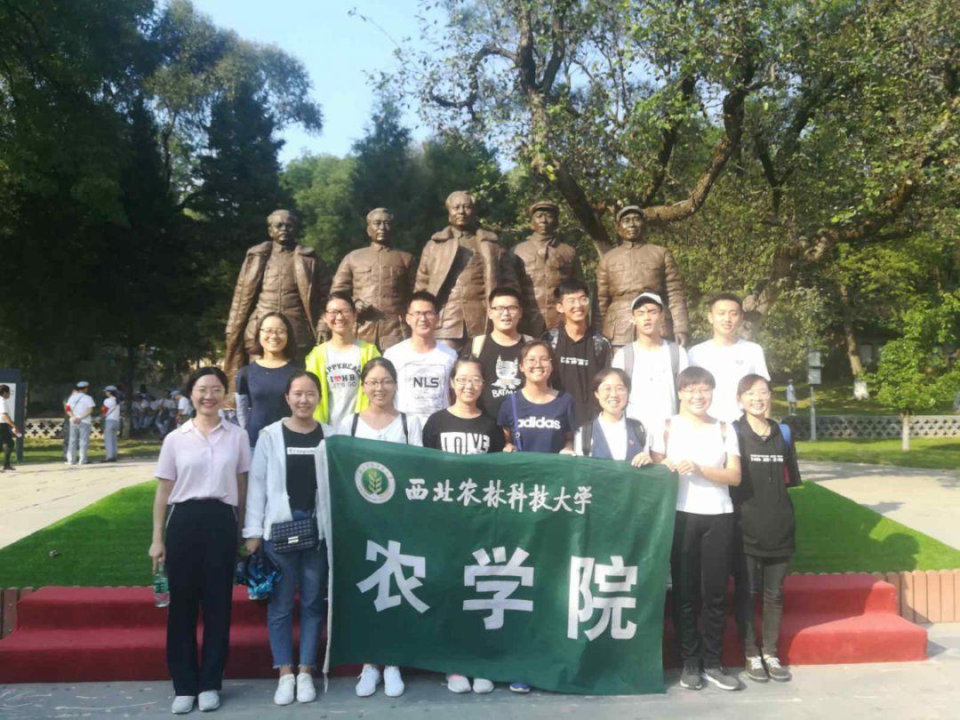 孙绍骋在自治区十一届纪委四次全会上强调 精准发力持续发力推进党的自我革命 为办好两件大事提供坚强保障 王莉霞 张延昆出席