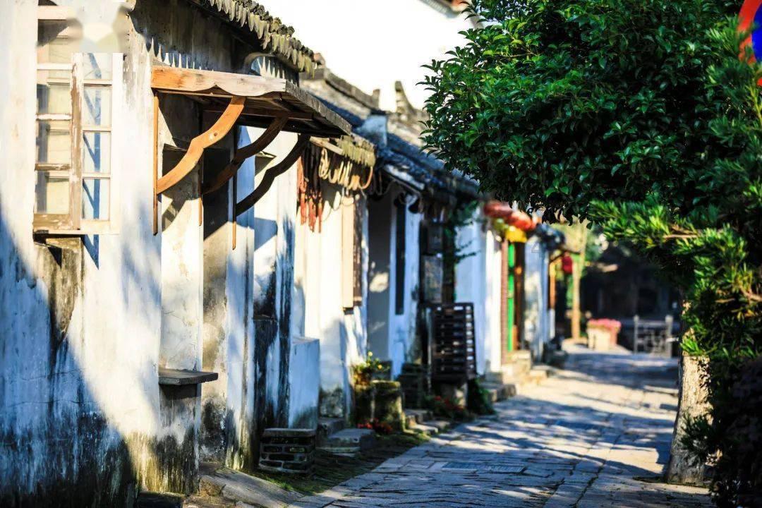艺术教育培训机构如何加盟——您的有问必答平台